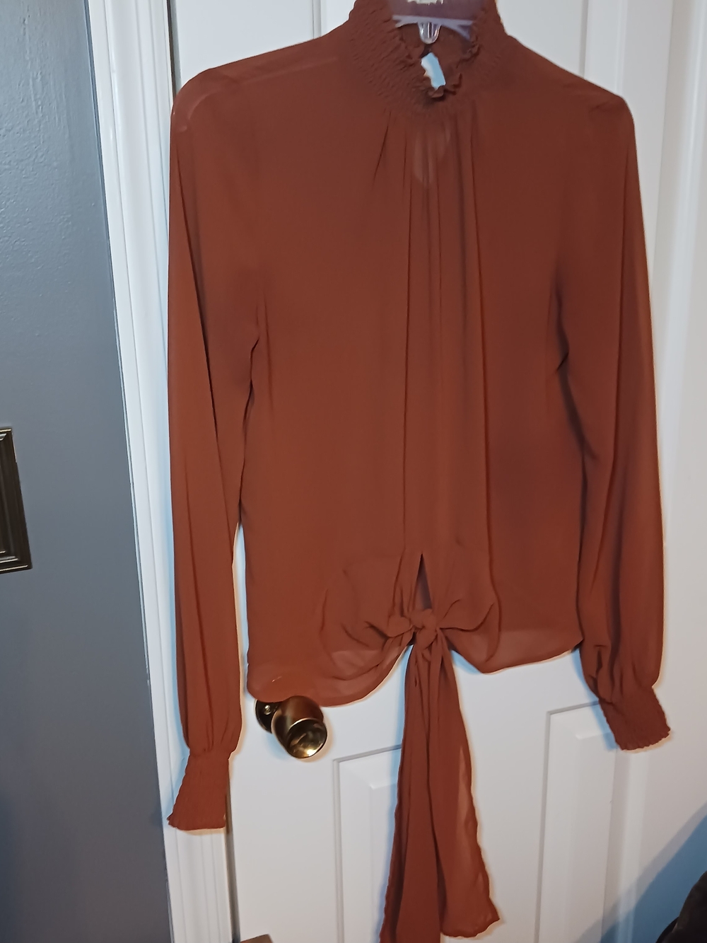 Express Rust Long-Sleeve Tie-Front Blouse
